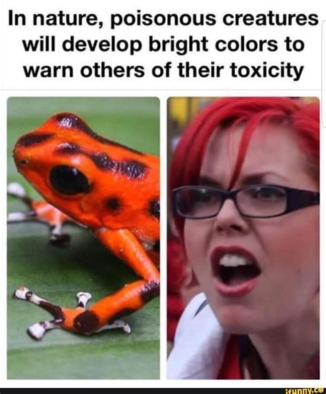 toxic animals bright colors meme